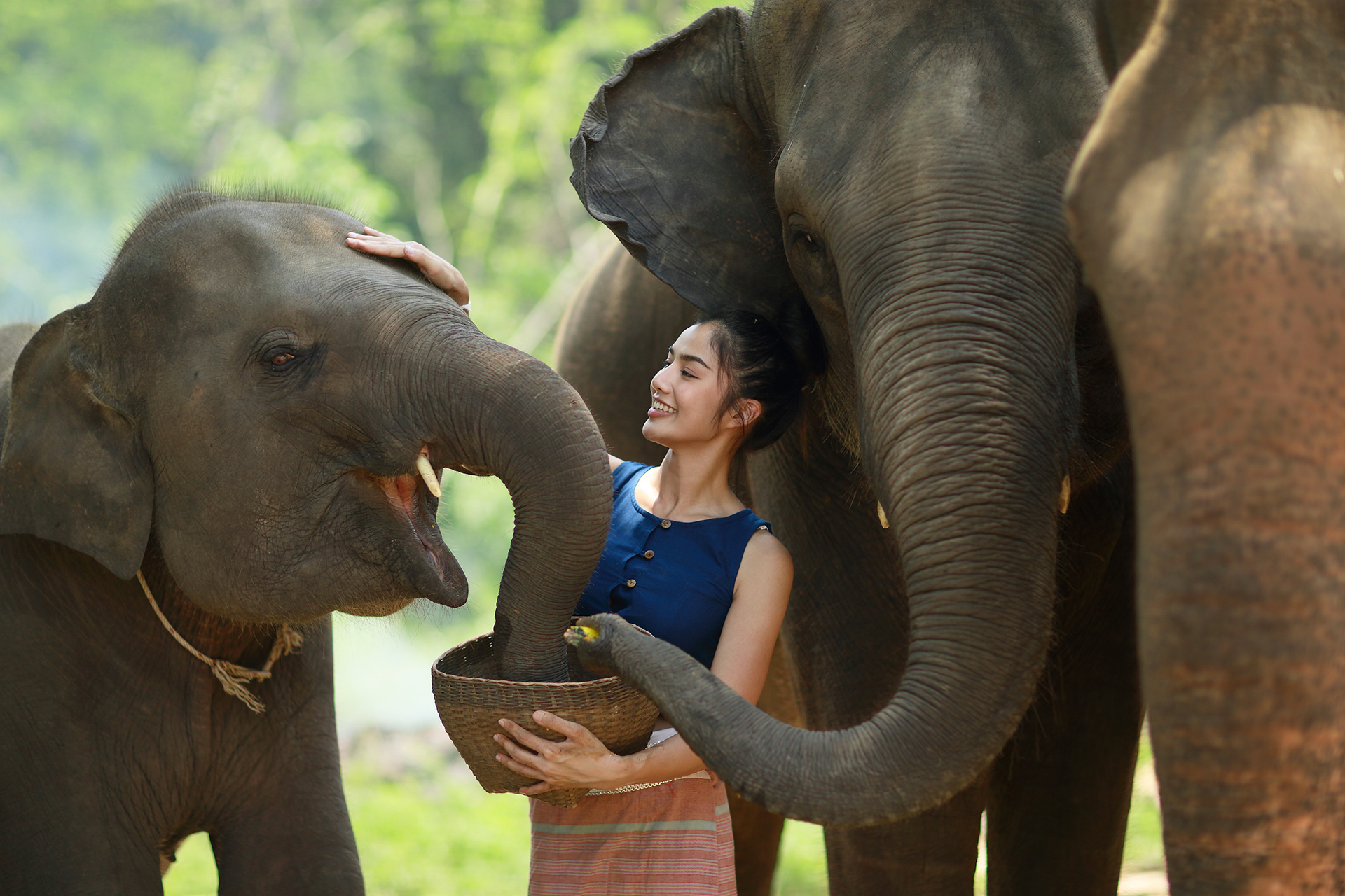 thailandconnex