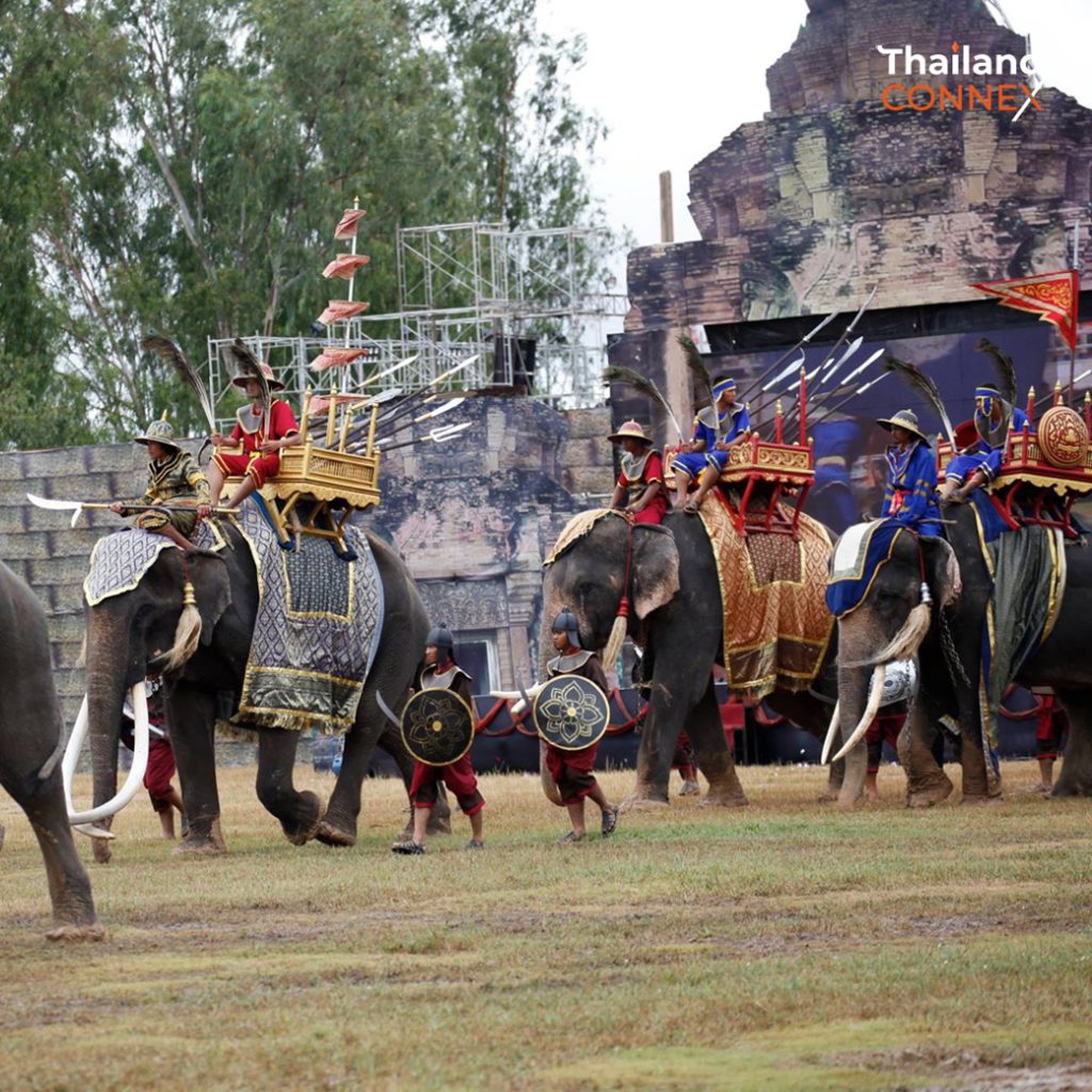 surin elephant festival